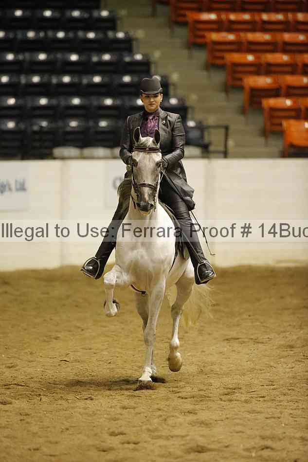 Proof 14buck_6282