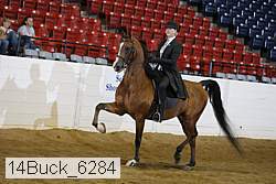 14buck_6284 proof