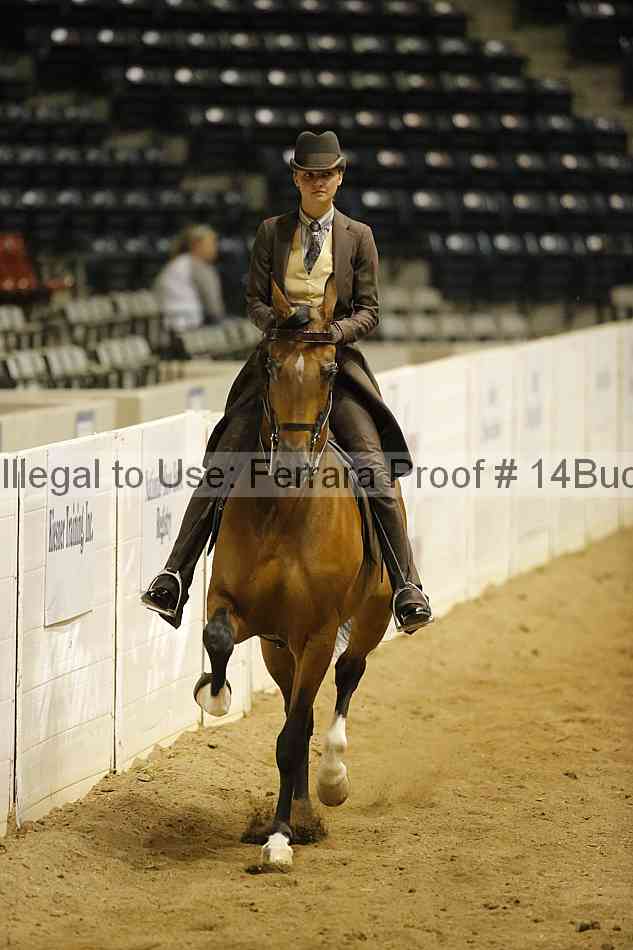 Proof 14buck_6293