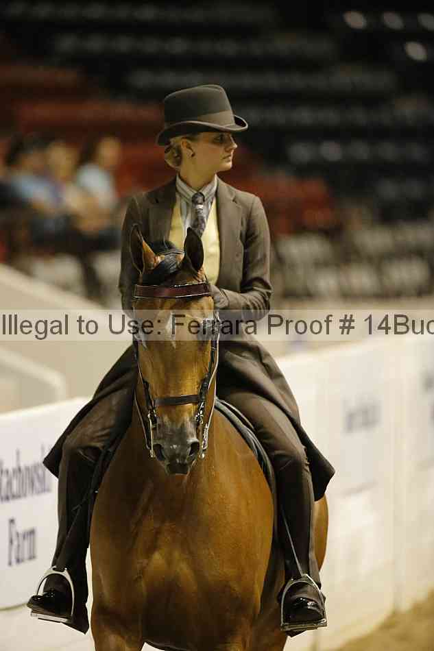 Proof 14buck_6294