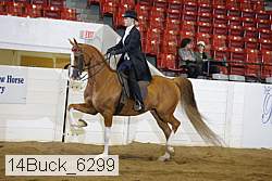 14buck_6299 proof