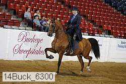 14buck_6300 proof