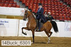 14buck_6301 proof