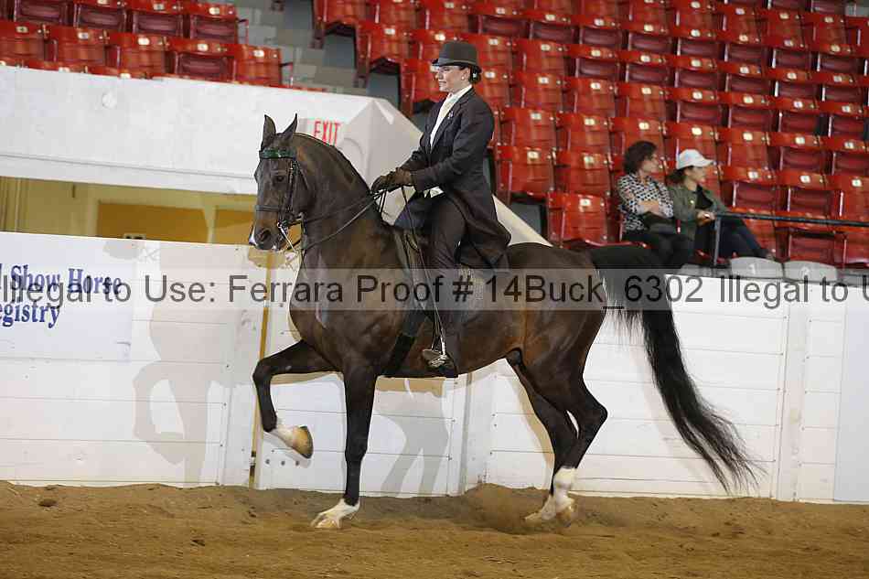 Proof 14buck_6302