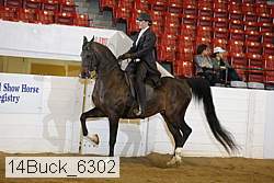14buck_6302 proof