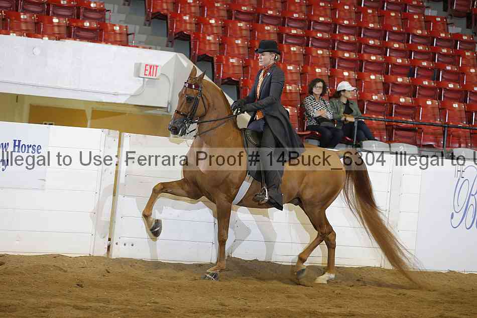 Proof 14buck_6304