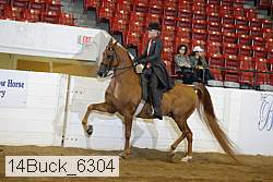 14buck_6304 proof