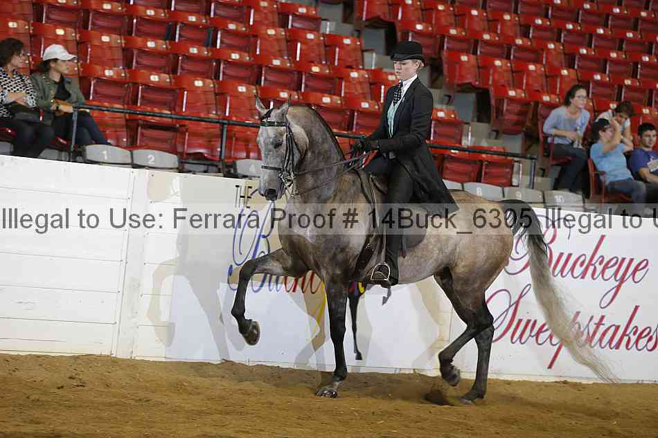Proof 14buck_6305