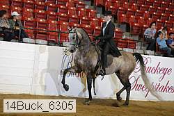 14buck_6305 proof