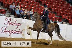 14buck_6306 proof