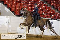14buck_6307 proof