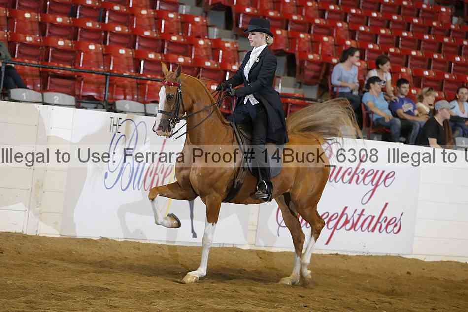 Proof 14buck_6308
