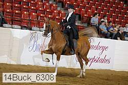 14buck_6308 proof