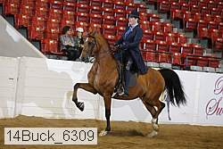 14buck_6309 proof