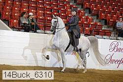 14buck_6310 proof