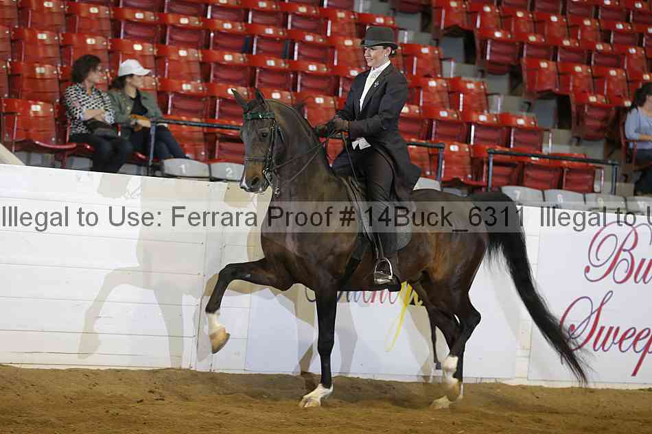 Proof 14buck_6311