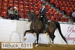 14buck_6311 proof