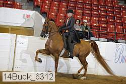14buck_6312 proof