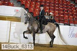14buck_6313 proof