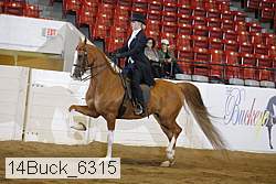 14buck_6315 proof