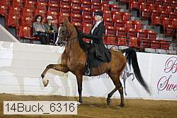 14buck_6316 proof