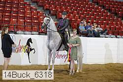 14buck_6318 proof