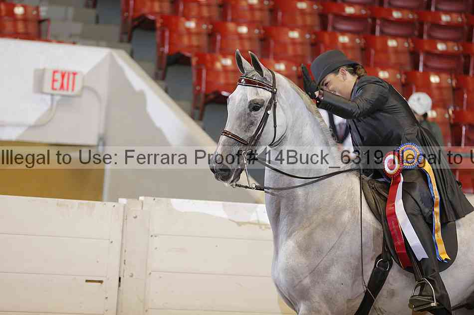 Proof 14buck_6319
