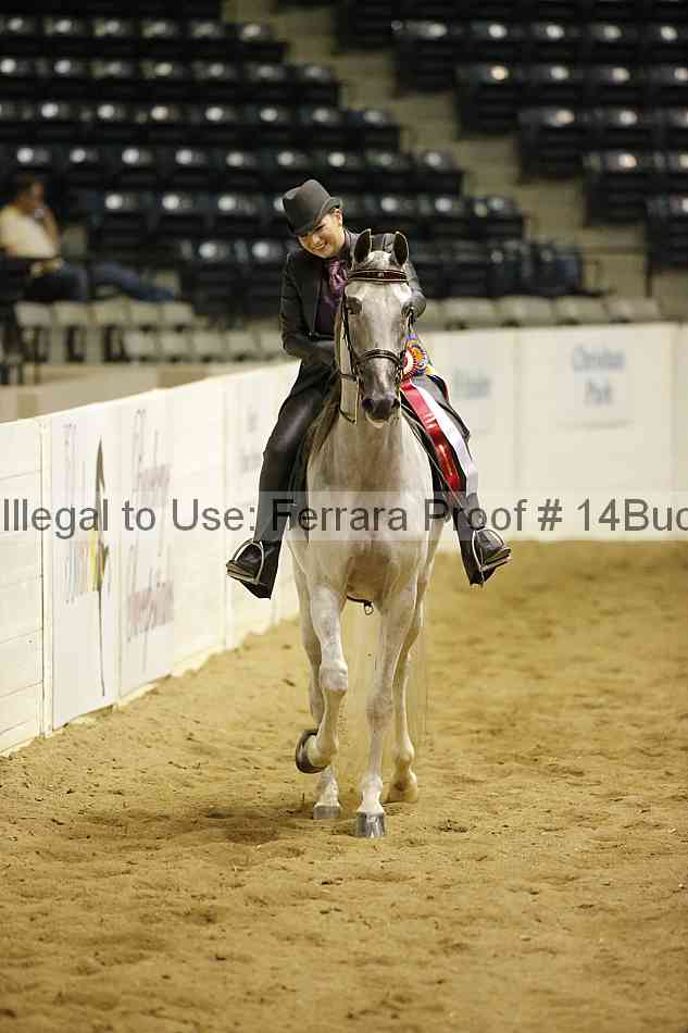 Proof 14buck_6322