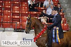 14buck_6333 proof
