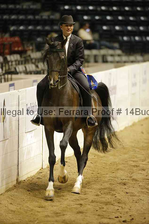 Proof 14buck_6339