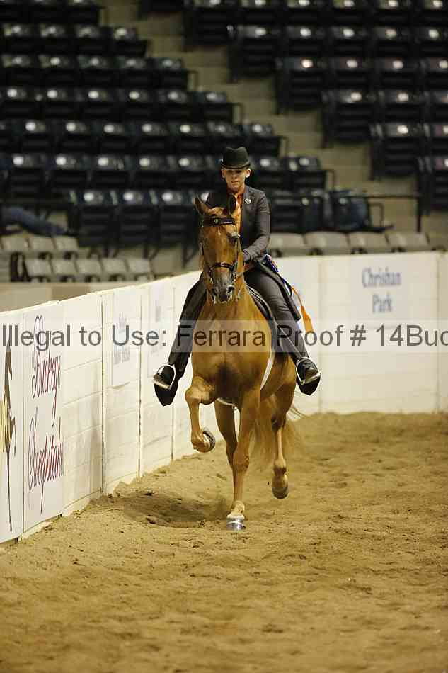 Proof 14buck_6347
