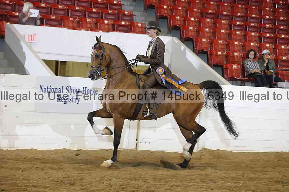 Proof 14buck_6349