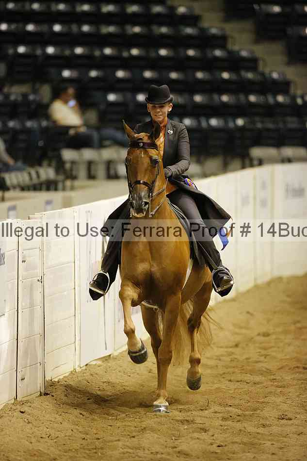 Proof 14buck_6351