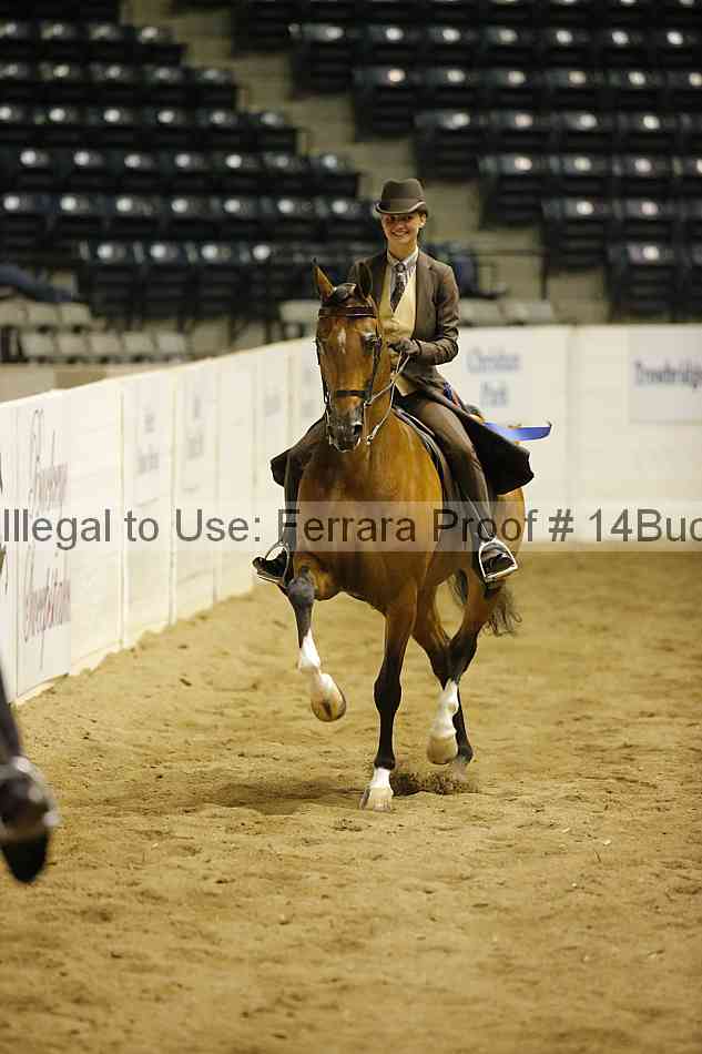 Proof 14buck_6353