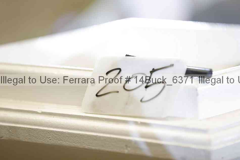 Proof 14buck_6371