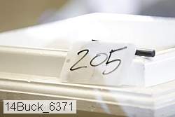 14buck_6371 proof