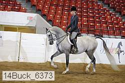 14buck_6373 proof