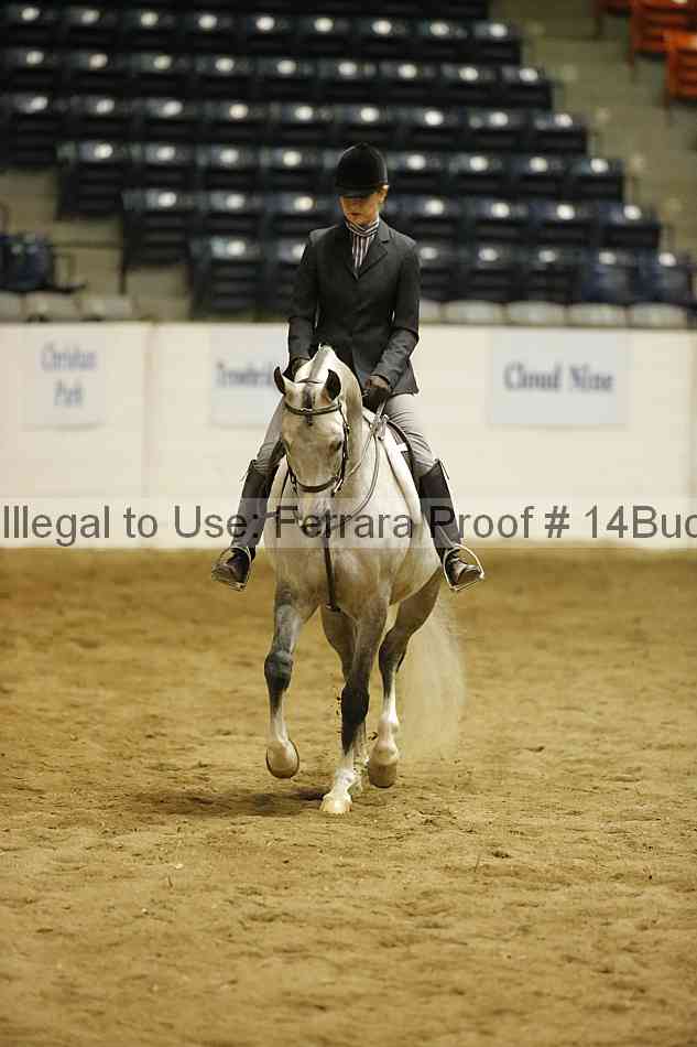 Proof 14buck_6374