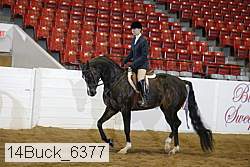 14buck_6377 proof