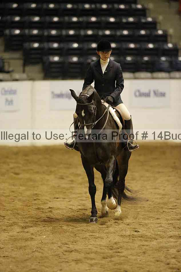 Proof 14buck_6378