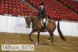 14buck_6379 proof