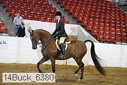 14buck_6380 proof