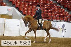 14buck_6382 proof