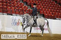 14buck_6383 proof
