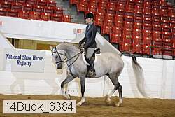 14buck_6384 proof