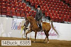 14buck_6385 proof