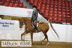 14buck_6386 proof