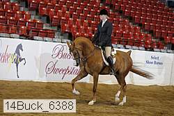 14buck_6388 proof