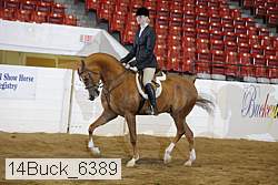 14buck_6389 proof