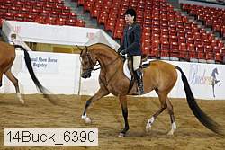 14buck_6390 proof